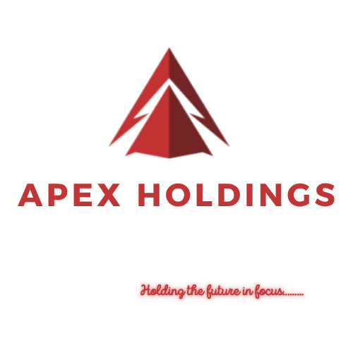Apex Holdings Logo
